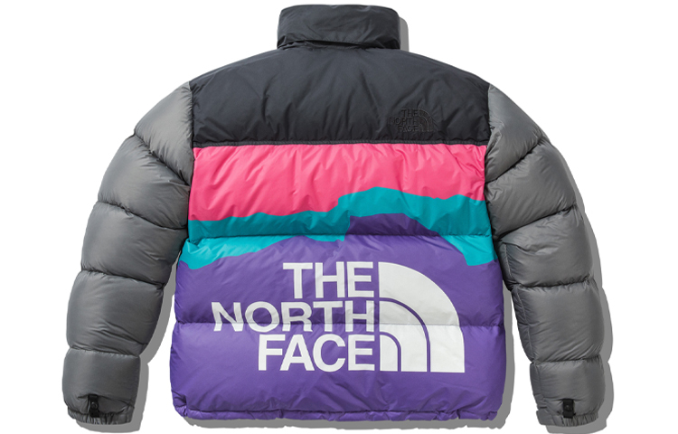【代購】THE NORTH FACE X Invincible 1996 Retro Nuptse Jacket NF0A5B1R-0UZ
