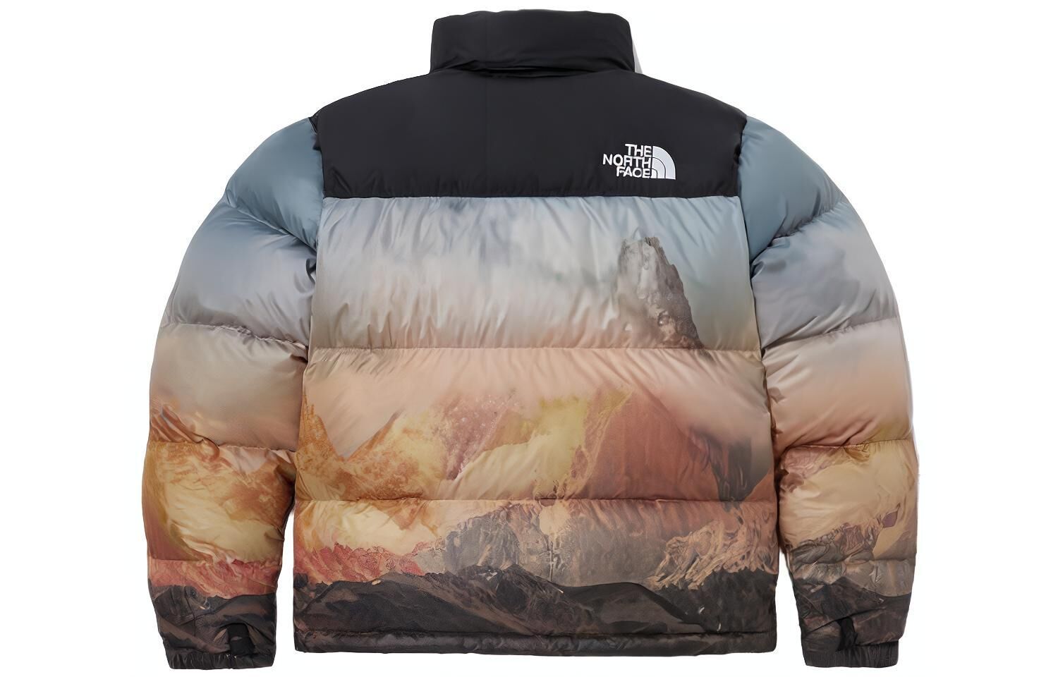 【代購】THE NORTH FACE 1996 FW23 Down Jacket Unisex All Over Print NJ1DP76B