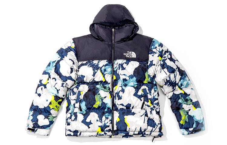 【代購】THE NORTH FACE 1996 Down Jacket Unisex Multicolor NF0A3C8D-IAW