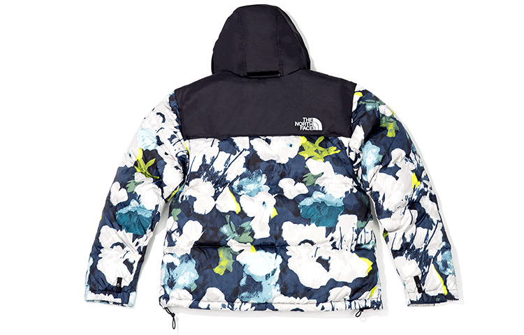 【代購】THE NORTH FACE 1996 Down Jacket Unisex Multicolor NF0A3C8D-IAW