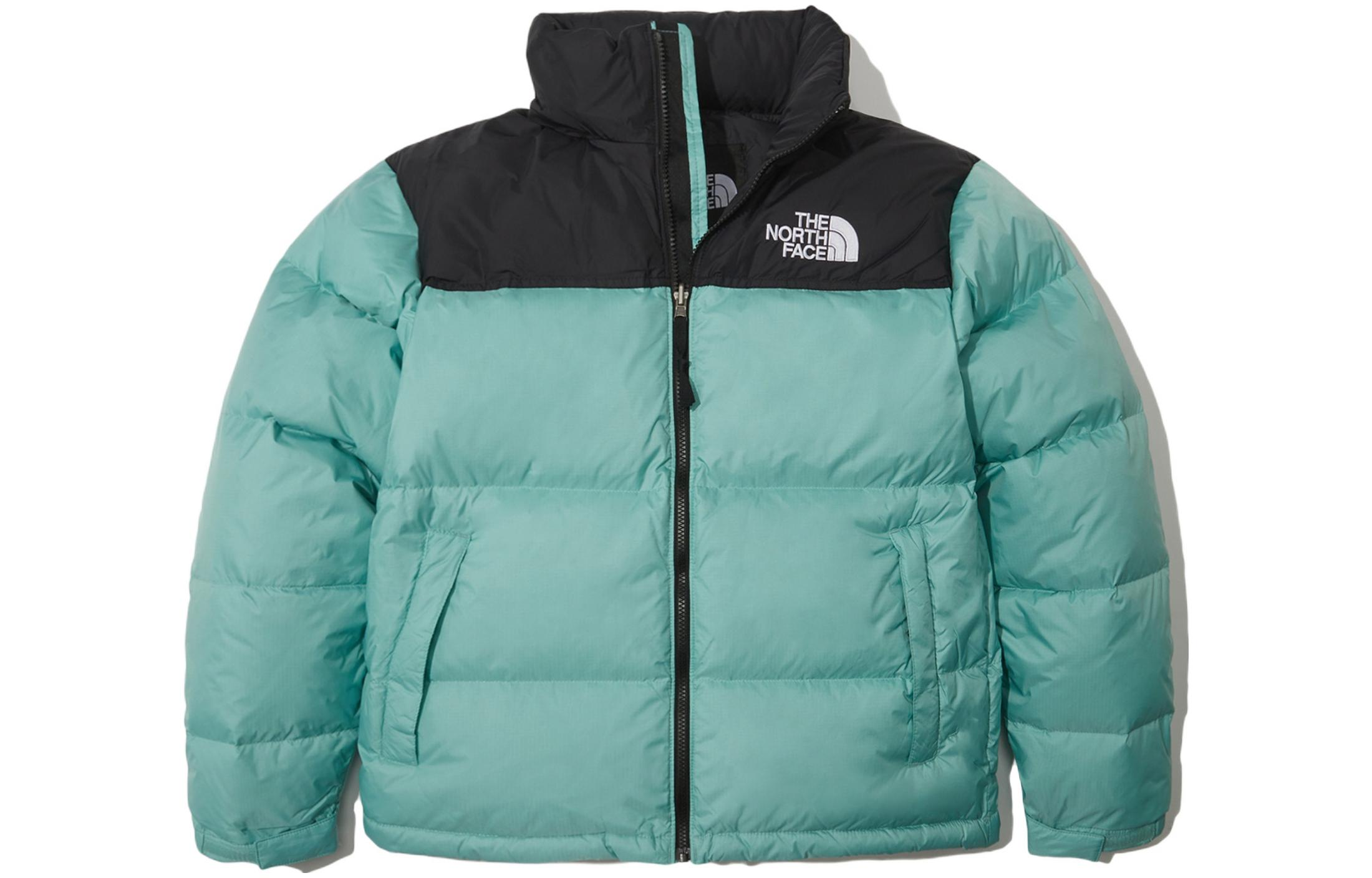 【代購】THE NORTH FACE 1996 Down Jacket Winter Men's Mint NJ1DN90A
