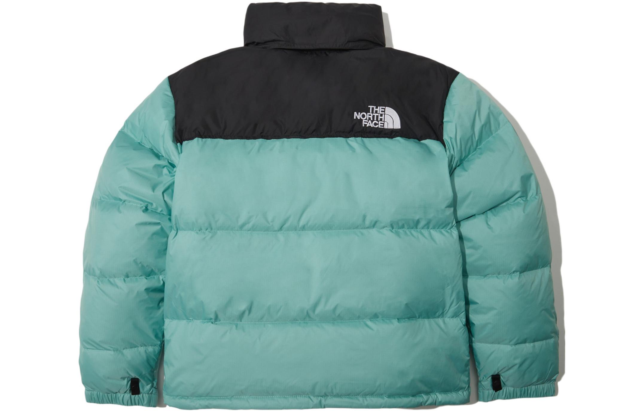 【代購】THE NORTH FACE 1996 Down Jacket Winter Men's Mint NJ1DN90A