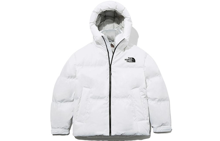 【代購】THE NORTH FACE 1996 Down Coats Unisex White Other NJ1DL80J