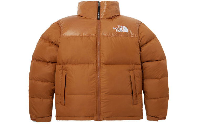 【代購】THE NORTH FACE 1996 Down Jacket Men's NJ1DP74B