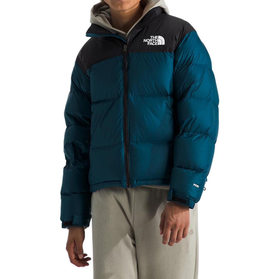 【代購】THE NORTH FACE 1996 Retro Nuptse 700 Fill Packable Jacket NF0A3C8D-5LO