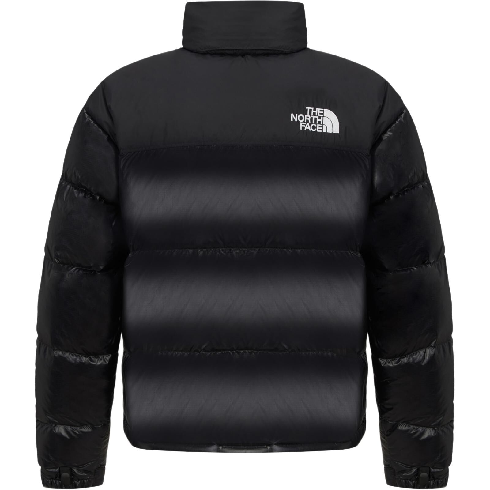 【代購】THE NORTH FACE 1996 Down Jacket Men's NJ1DR65B