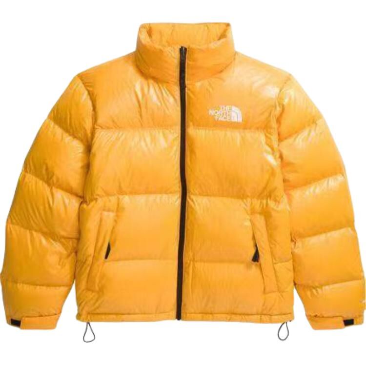 【代購】THE NORTH FACE 1996 Down Jacket Men's NF0A3C8D-38A
