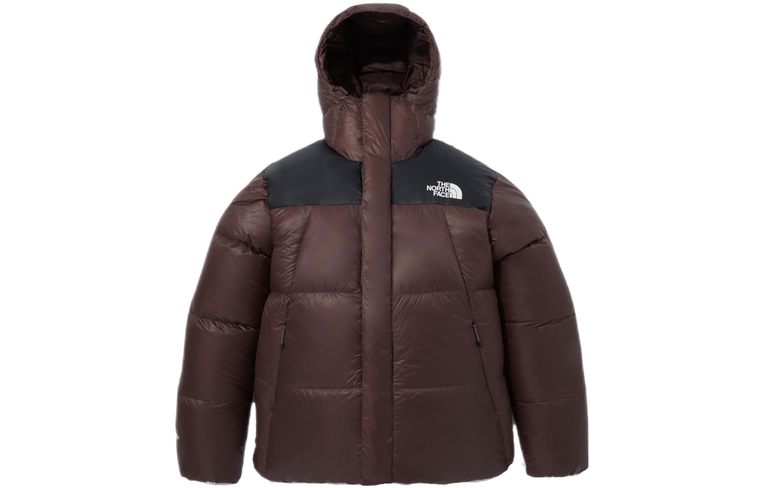 【代購】THE NORTH FACE SUMMIT Down Jackets & Coats Unisex Brown NJ1DP73C