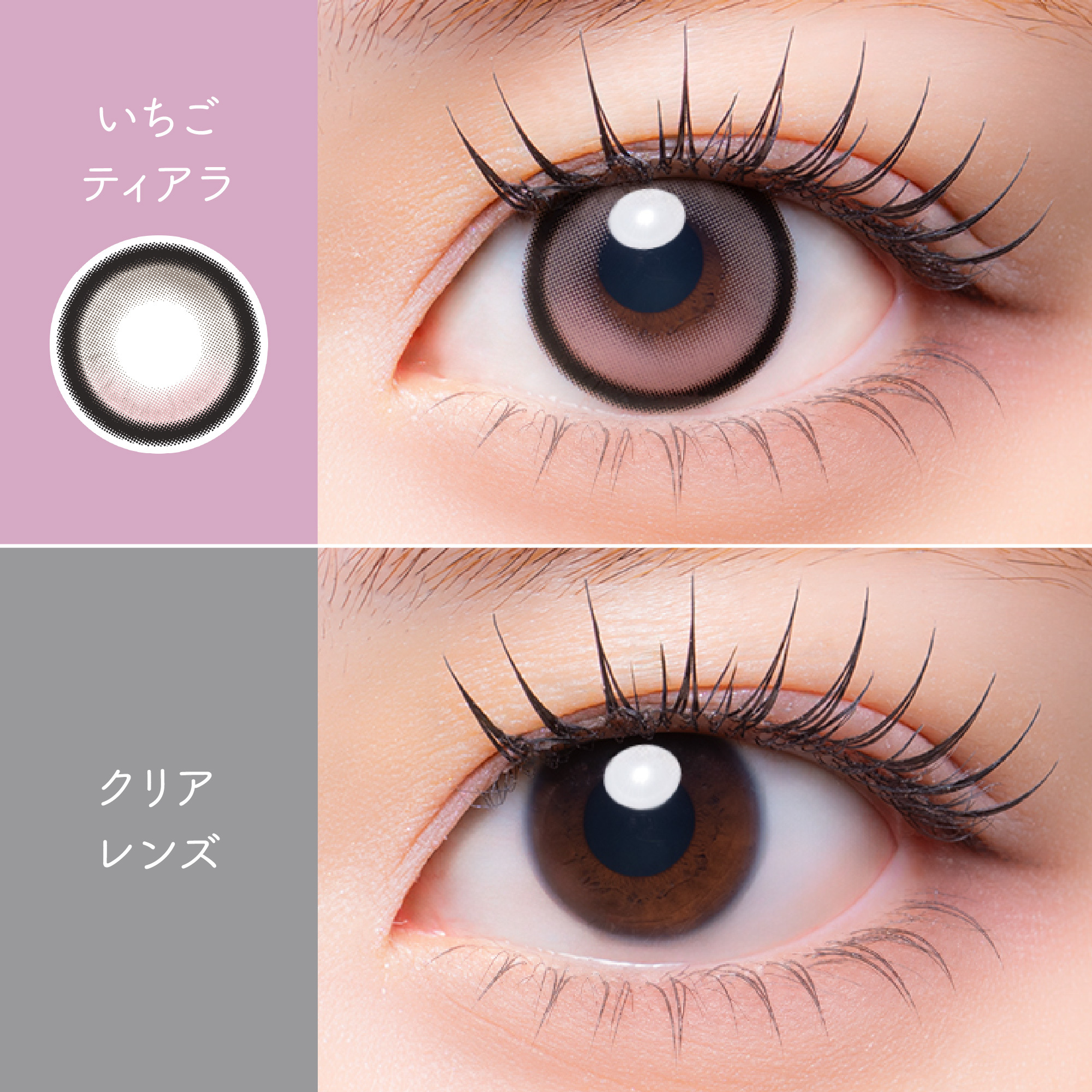 [日抛] MeloRia Silicone Hydrogel 1 Day ICHIGO TIARA｜日拋彩妝隱形眼鏡｜每盒10片