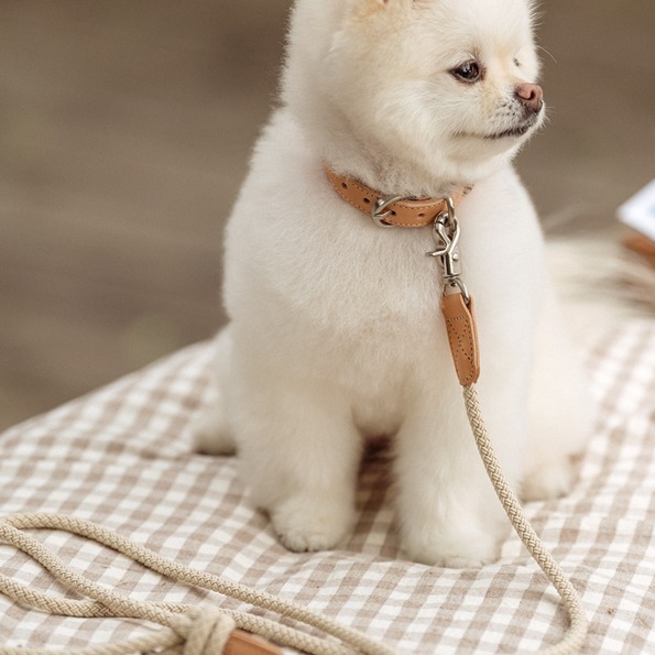 Stroll Slim Leash_Beige