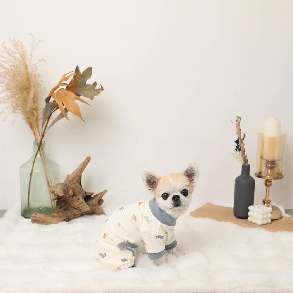 【Moncheri】Thermal Dinosaur Stretch Romper