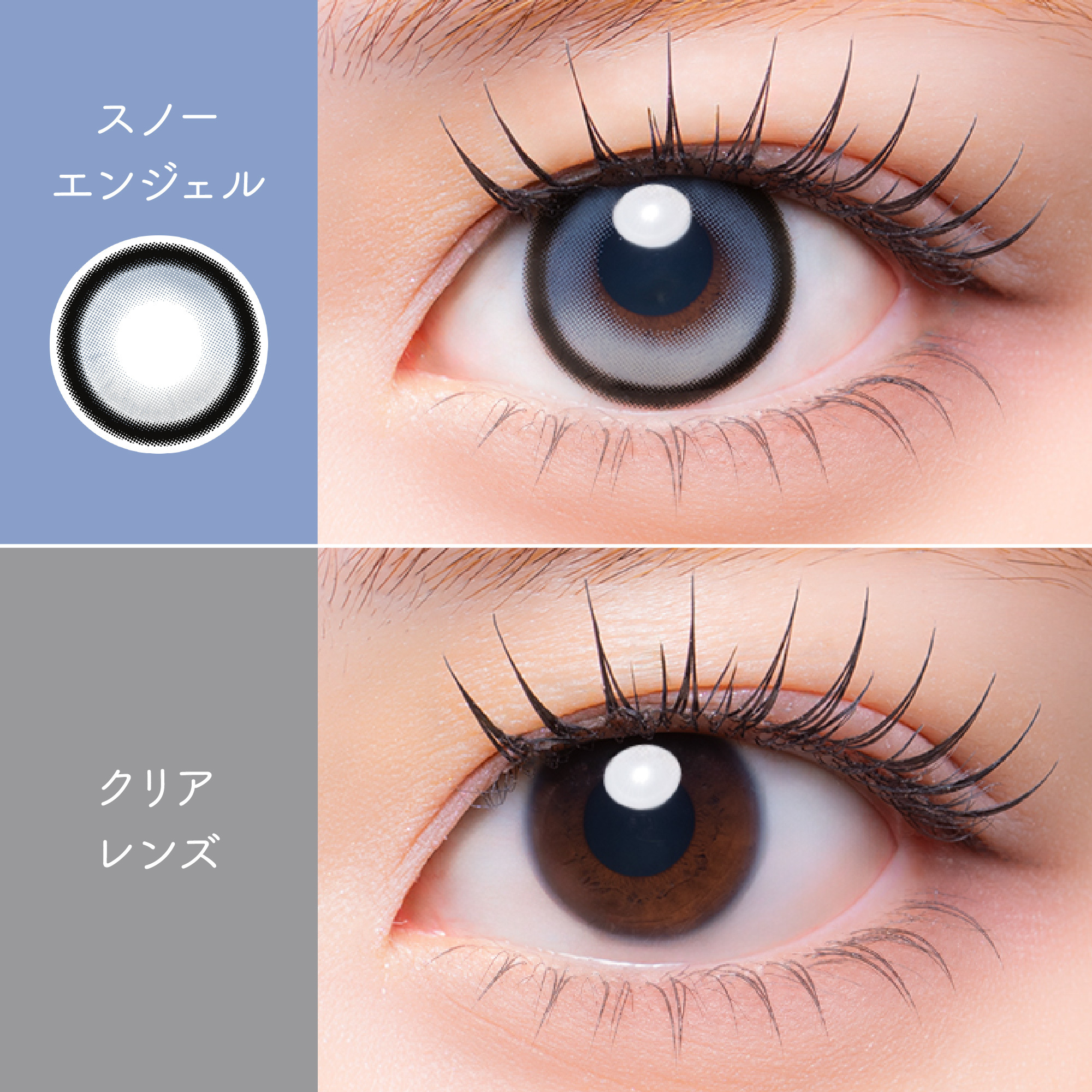[日抛] MeloRia Silicone Hydrogel 1 Day Snow Angel｜日拋彩妝隱形眼鏡｜每盒10片