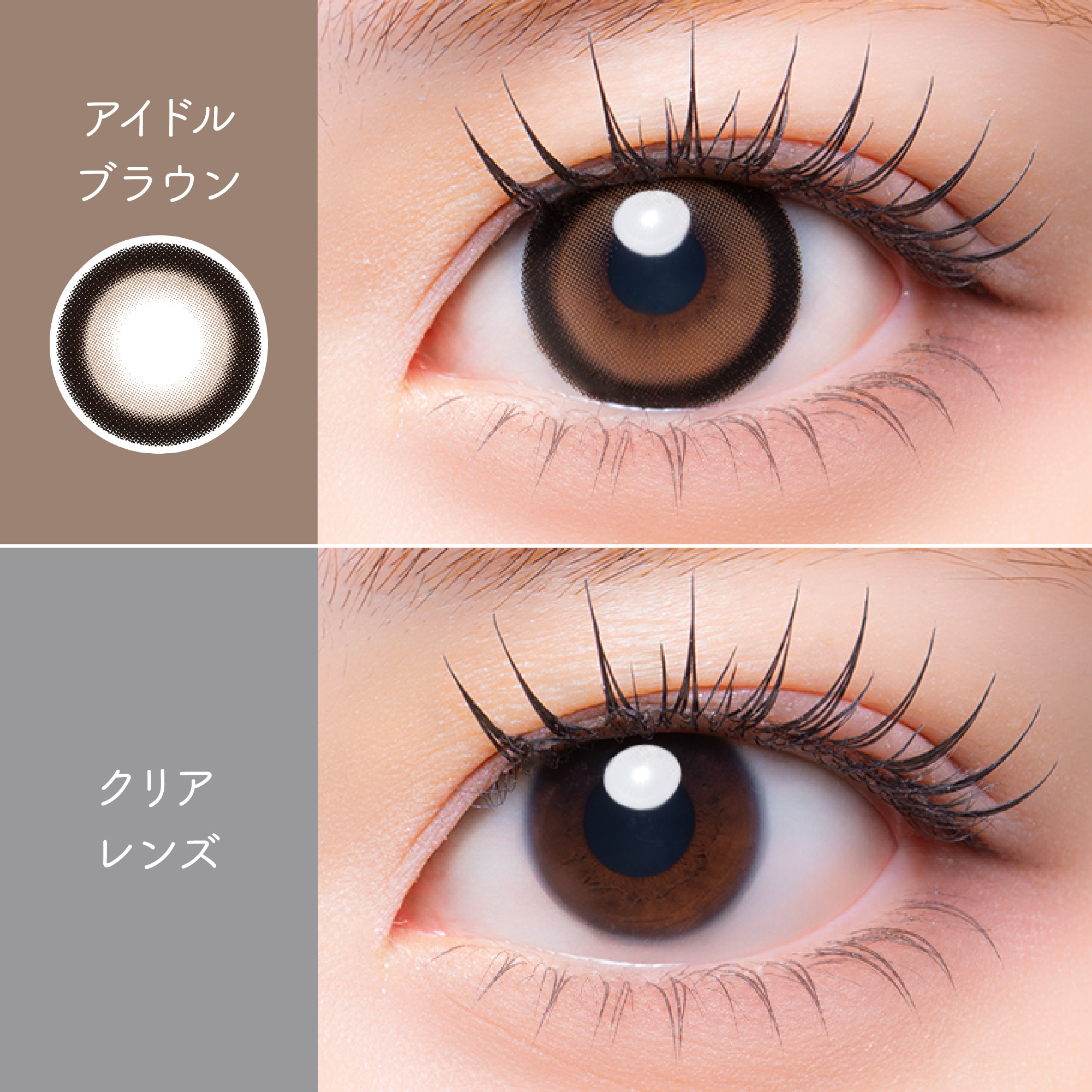 [日抛] MeloRia Silicone Hydrogel 1 Day Idol Brown｜日拋彩妝隱形眼鏡｜每盒10片