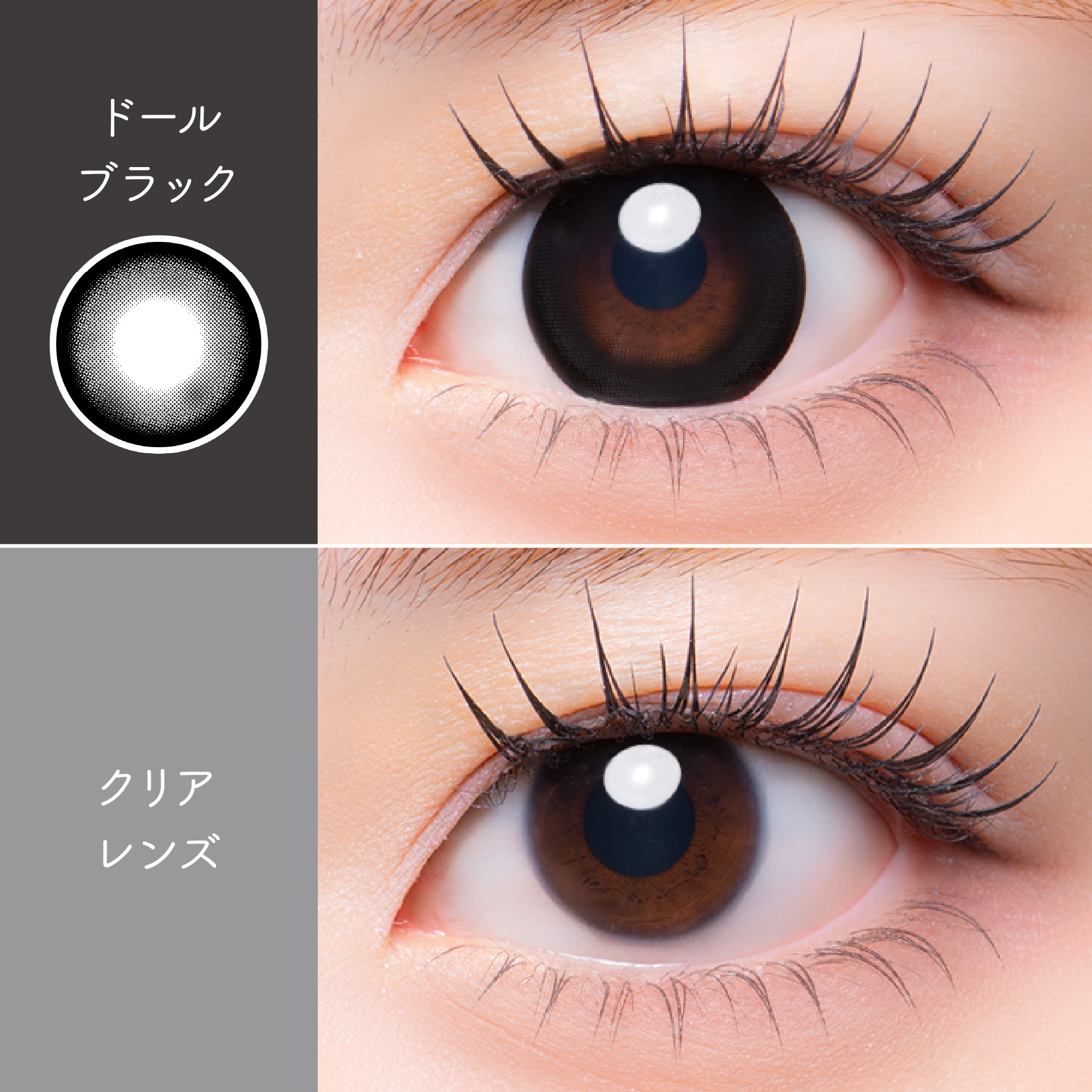 [日抛] MeloRia Silicone Hydrogel 1 Day Doll Black｜日拋彩妝隱形眼鏡｜每盒10片