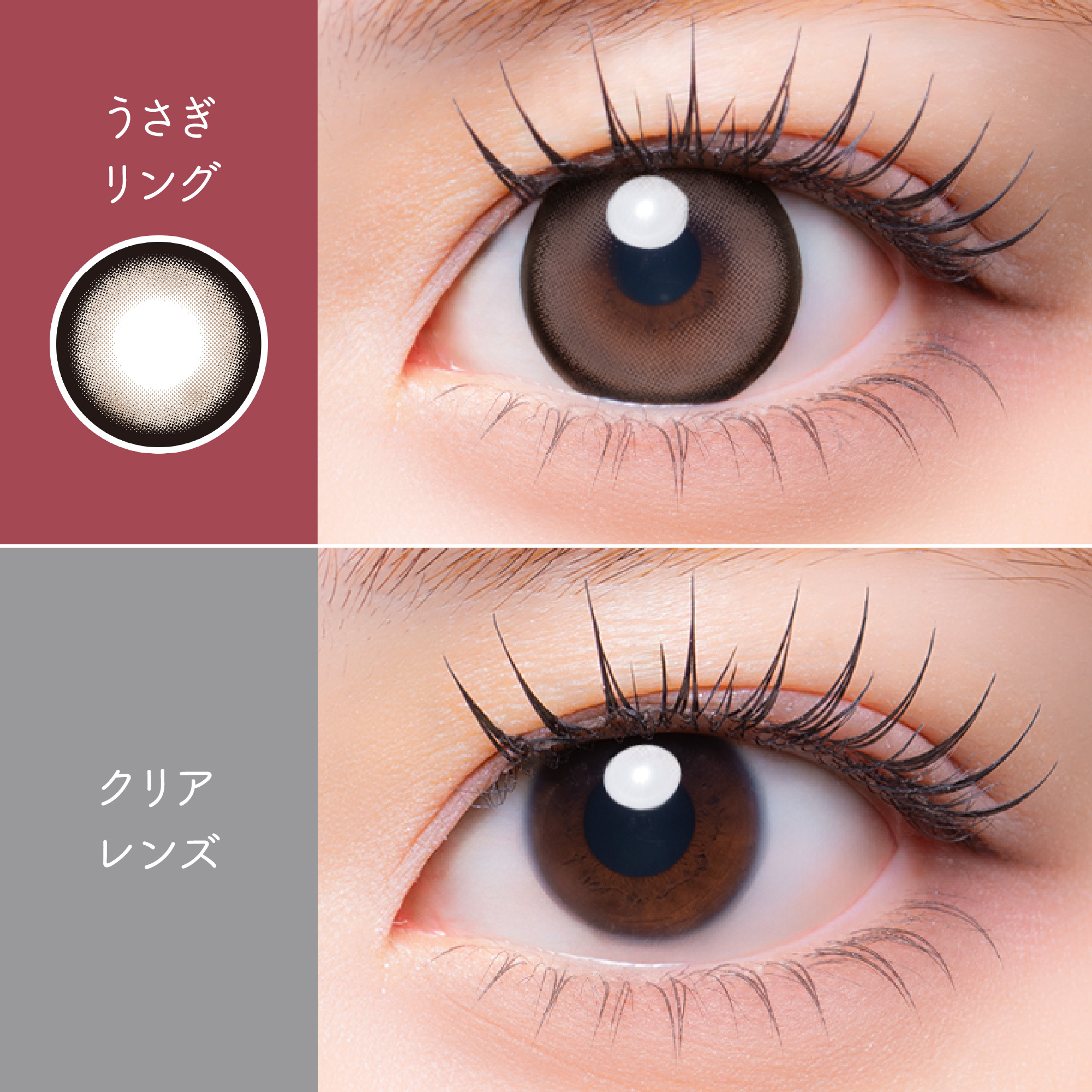 [日抛] MeloRia Silicone Hydrogel 1 Day Usagi Ring|日拋彩妝隱形眼鏡｜每盒10片
