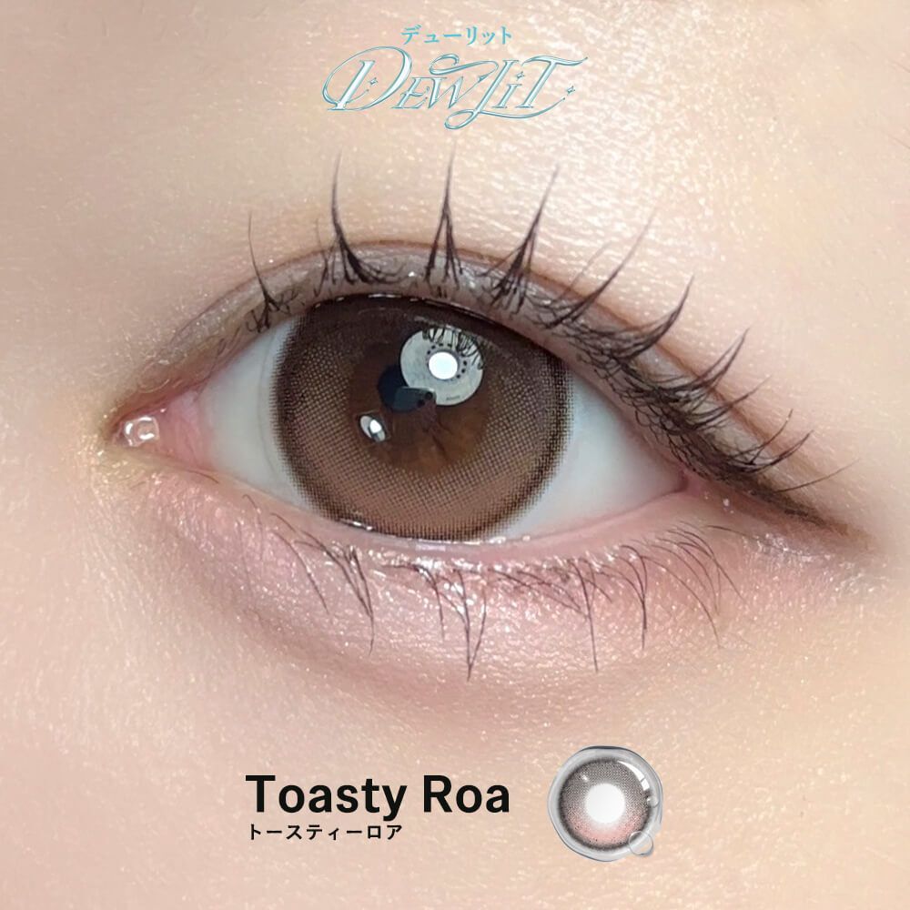 [固定高光] Dewlit Plus 1 Day (Toasty Roa) (10P)
