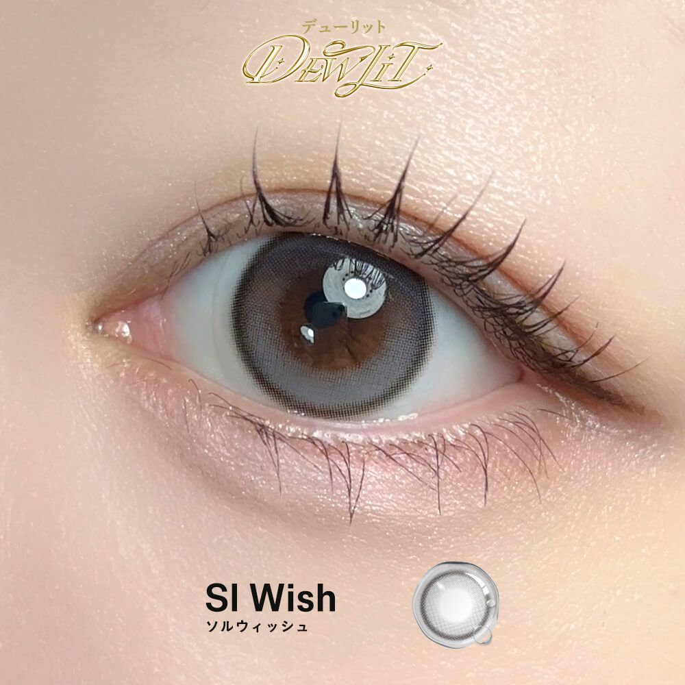 [固定高光] Dewlit Mini1 Day (SI Wish) (10P)