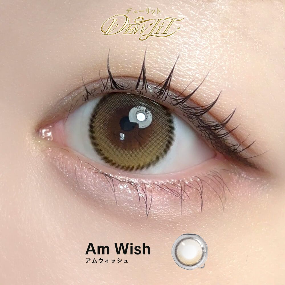 [固定高光] Dewlit Mini1 Day (Am Wish) (10P)
