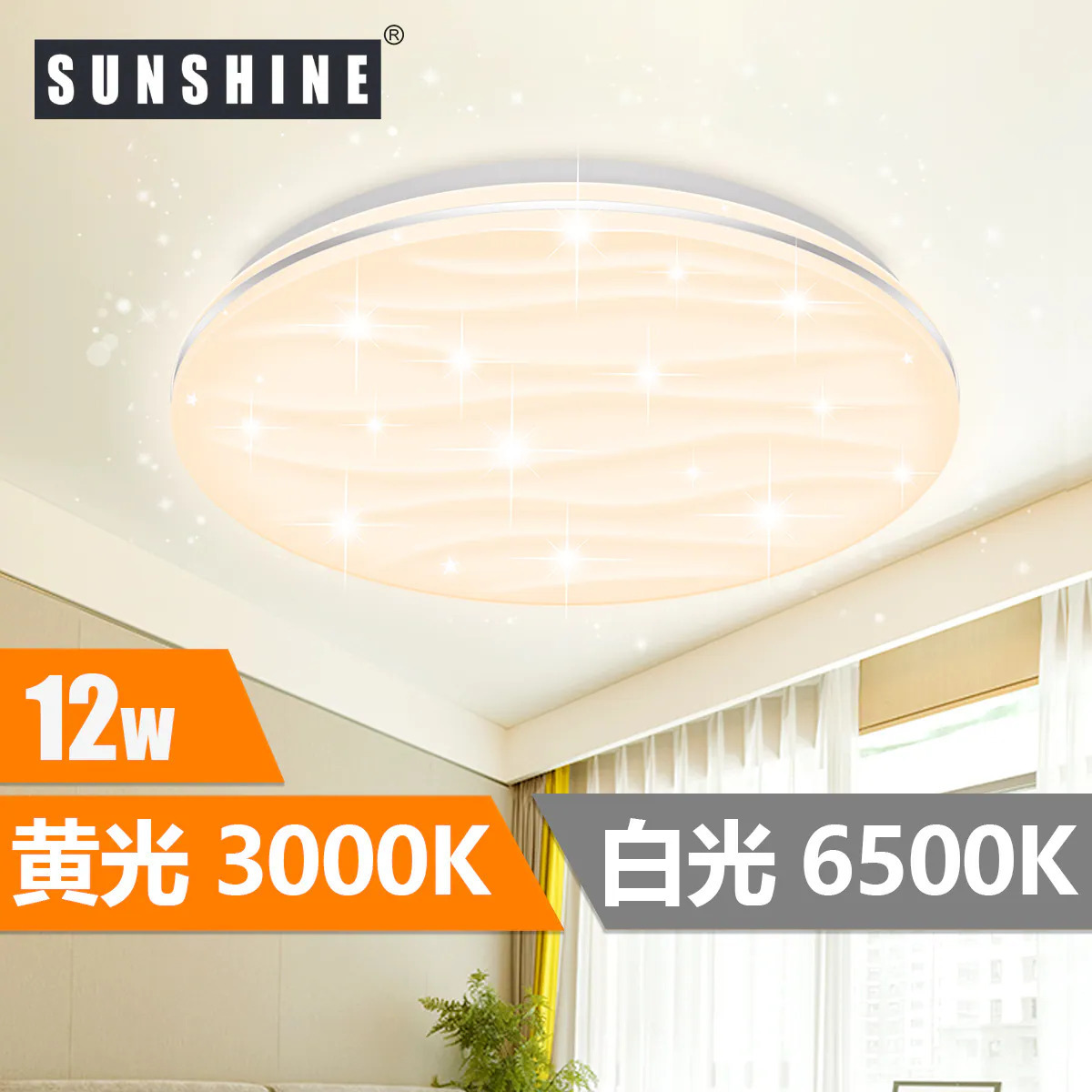 [LCLN] Ceiling Light Single-tone 12W