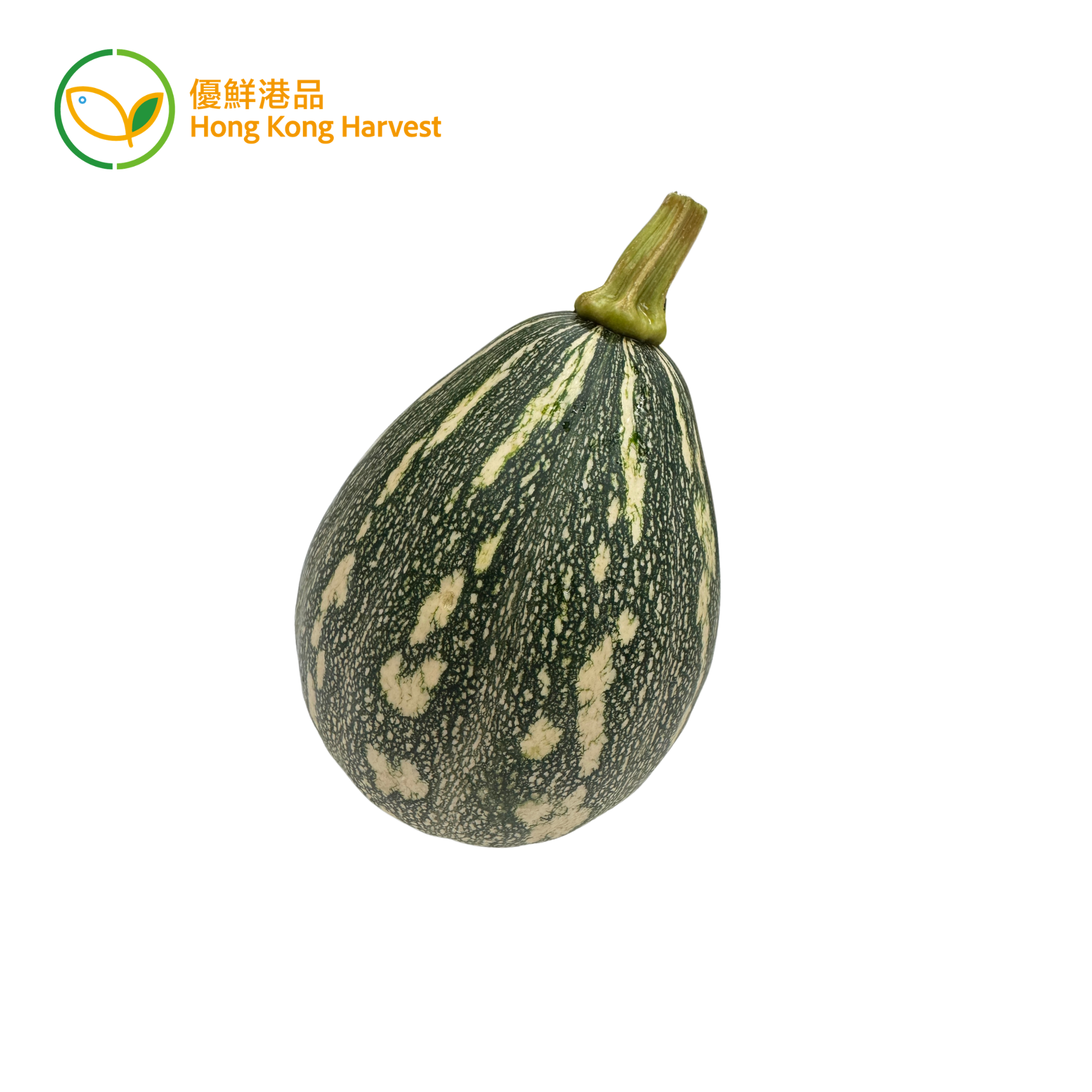 Local Organic Pumpkin