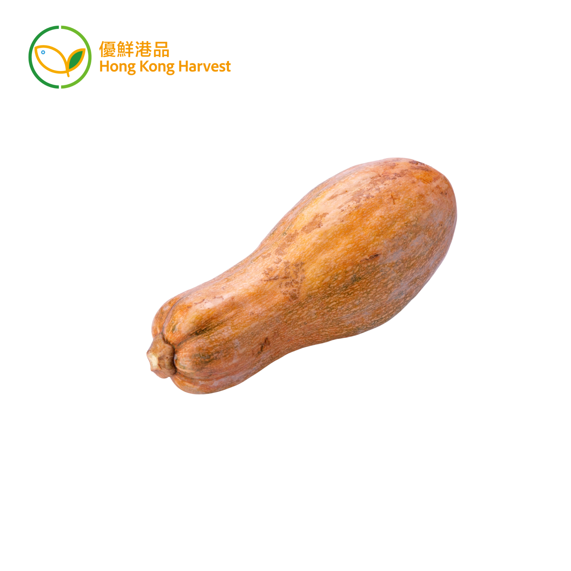 Local Organic Pumpkin