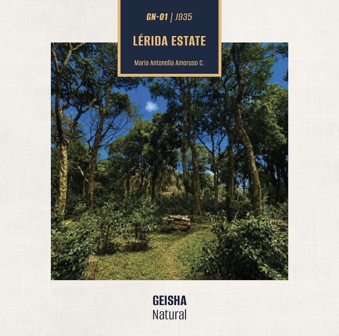 【2026 Bop 日曬組冠軍標王】最佳巴拿馬 GN-01 蕾莉達莊園 Lérida Waterfall Geisha Natural