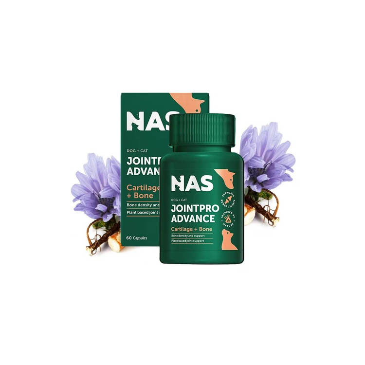NAS Joint Pro Advance 貓狗 關節保健PRO 60錠