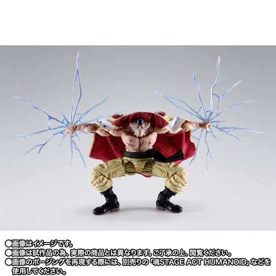 [魂SHOP限定] SHF 愛德華·紐歌特 (白鬍子) -瑪林科特頂上決戰-