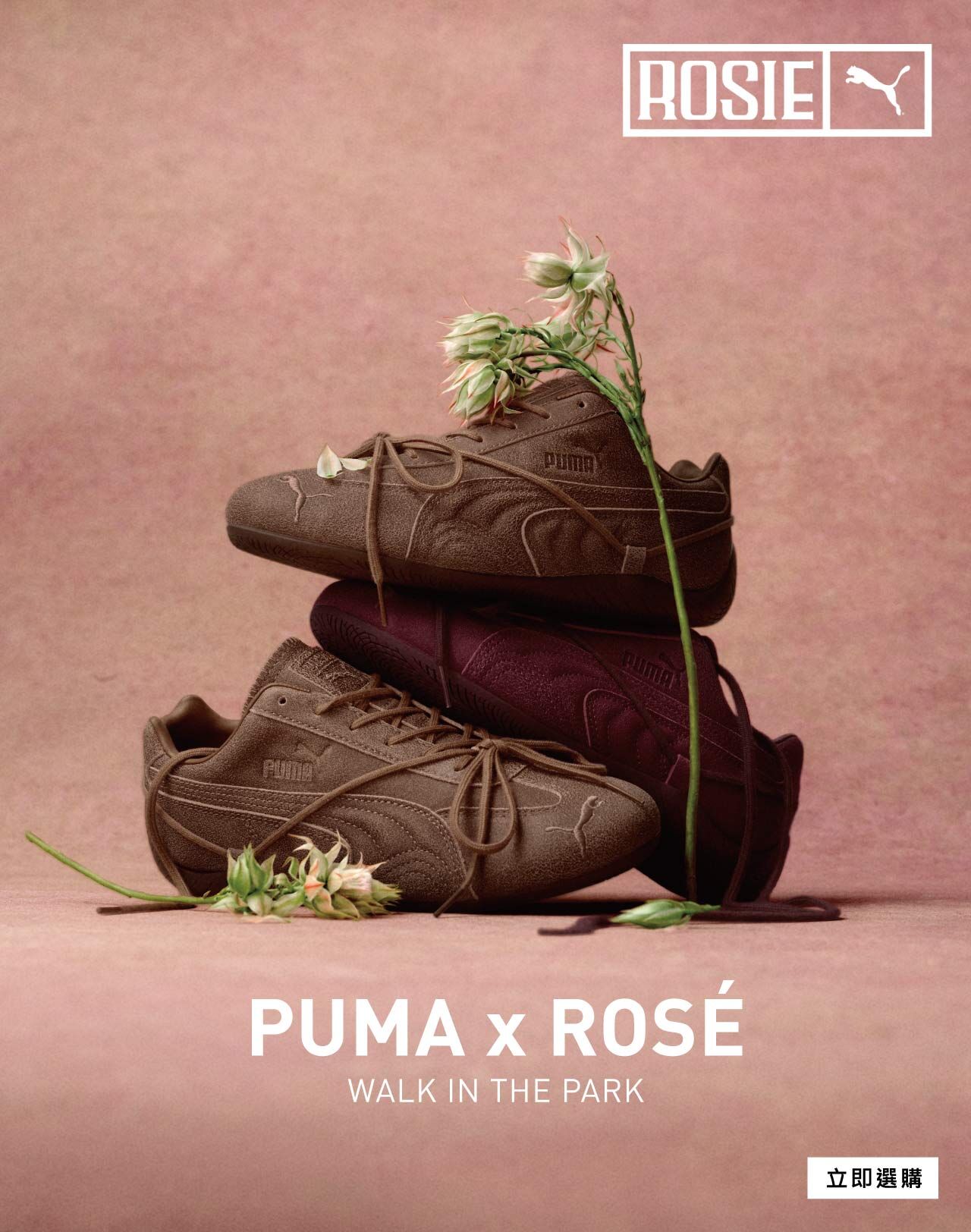PUMA X ROSÉ SPEEDCAT VTG BURGUNDY 賽車鞋 復古 女鞋 (勃根地紅/高檔咖啡) 410661-01 410911-01