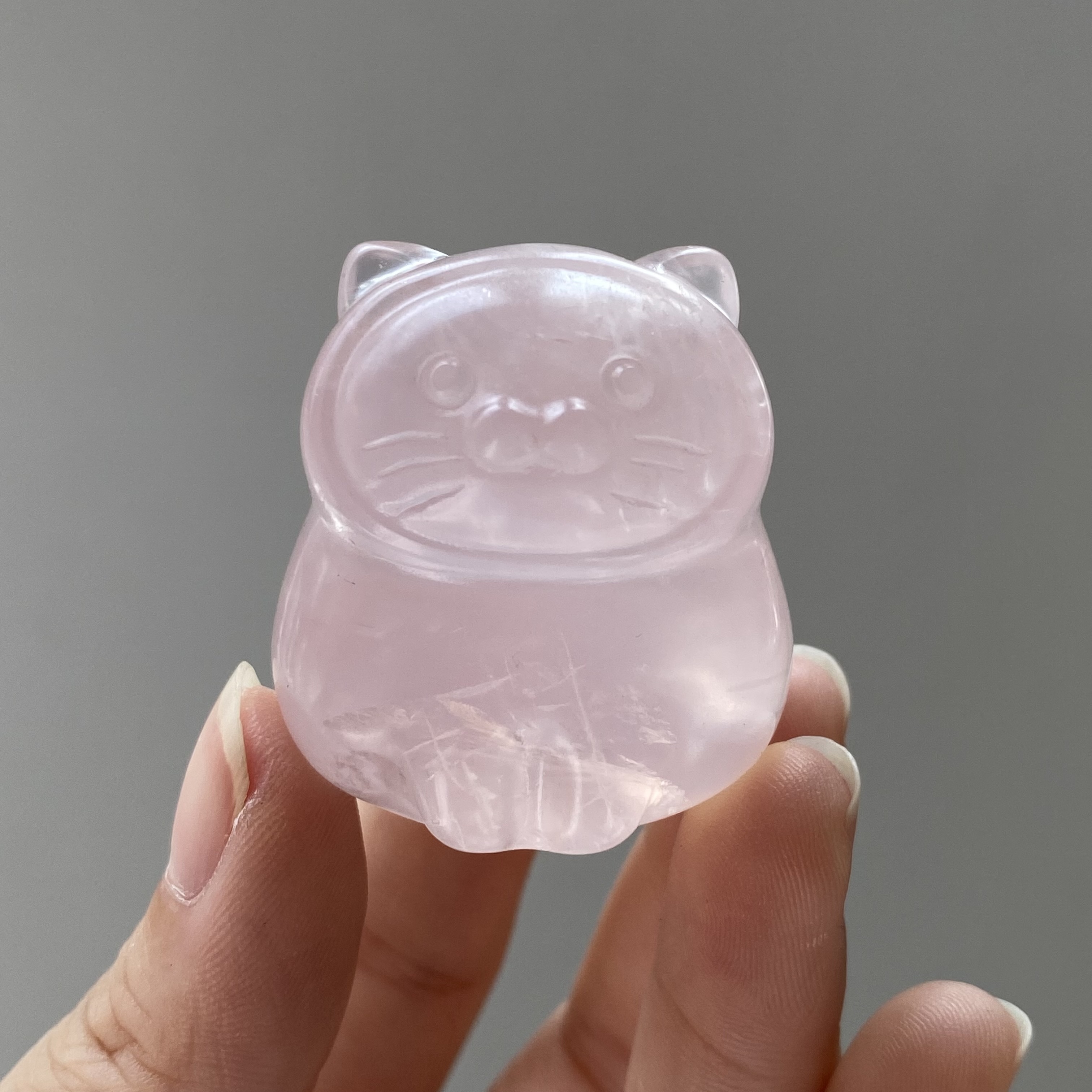粉晶海豹貓