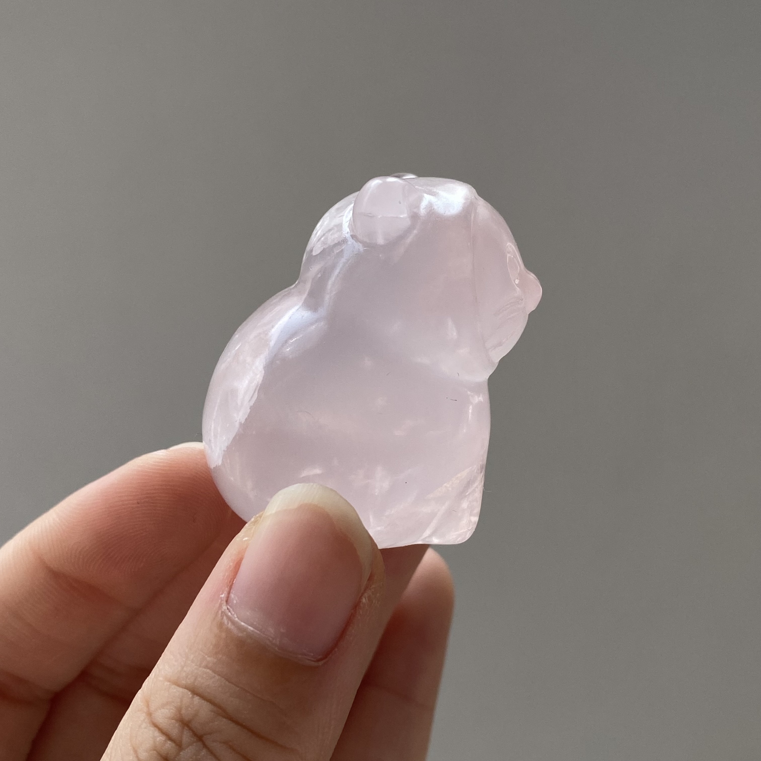 粉晶海豹貓
