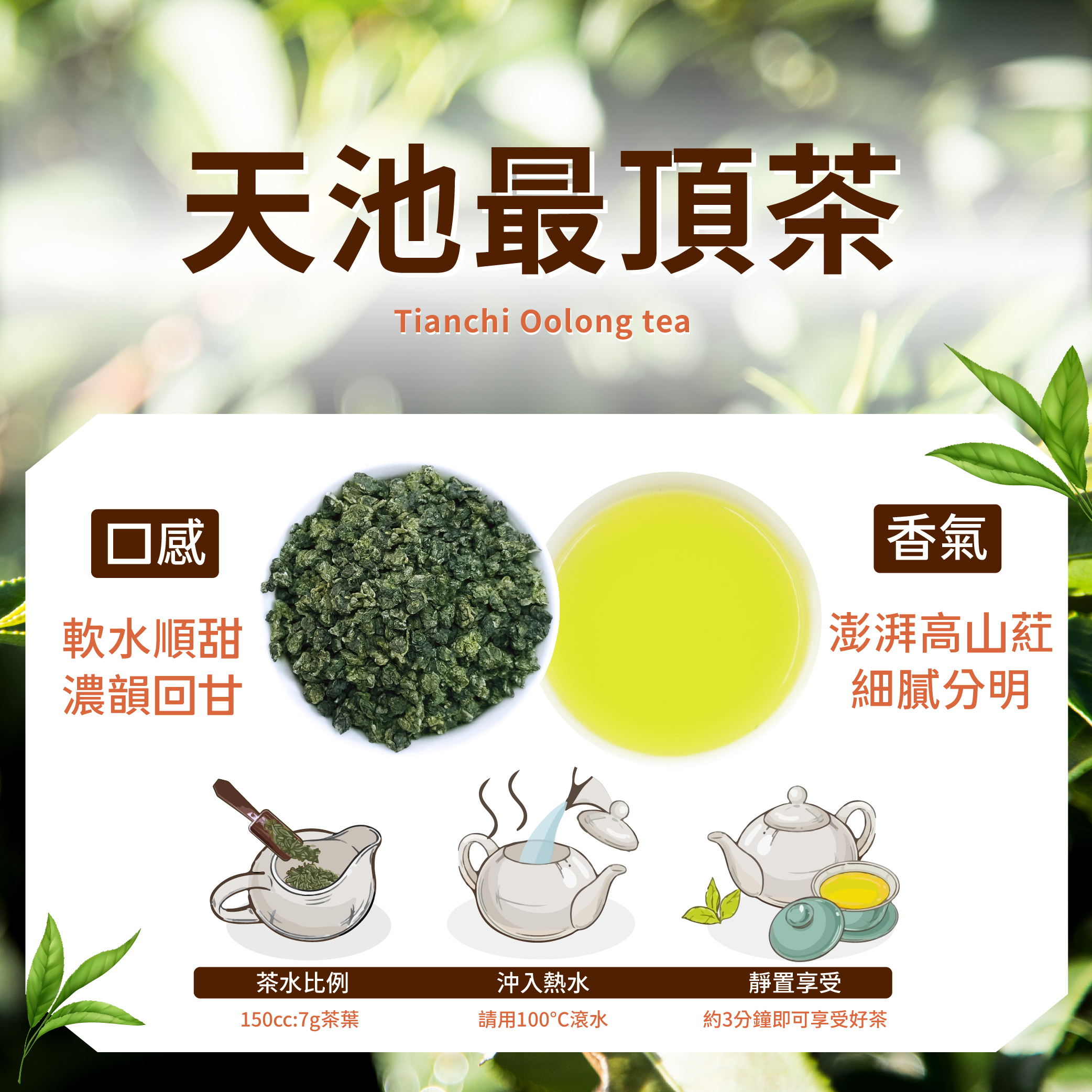 【2026冬茶】天池最頂茶｜冷冽高山葒氣、柔順回甘