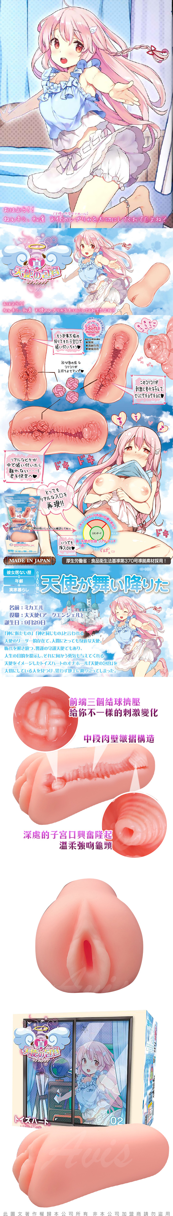 對子哈特 Toys Heart TH 真 天使包容 第二代 飛機杯