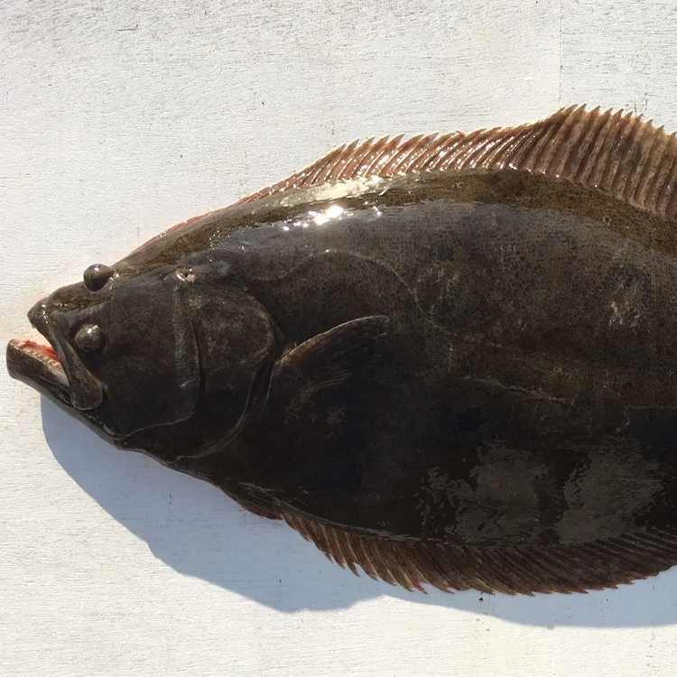 天然比目魚