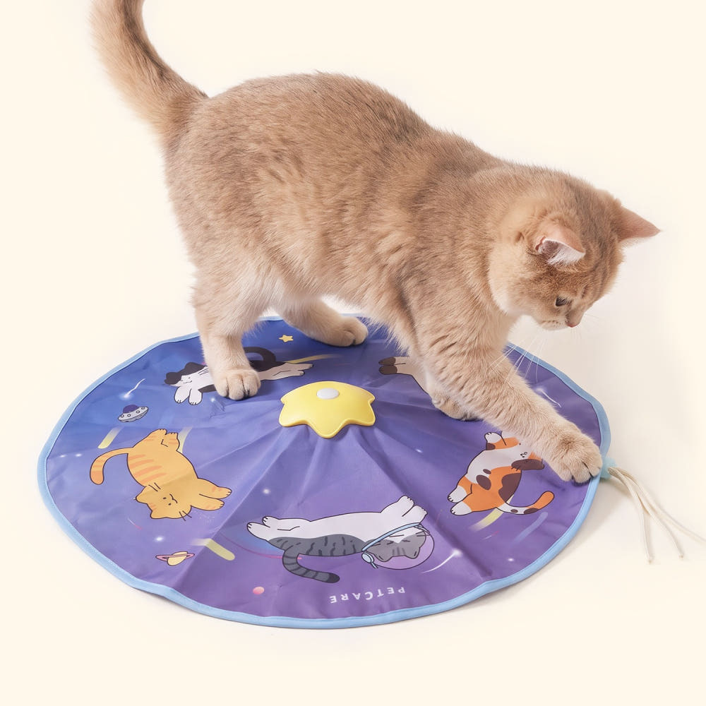 PETCARE｜魔力捕星盤 貓咪智能玩具（4種配件 8種玩法）