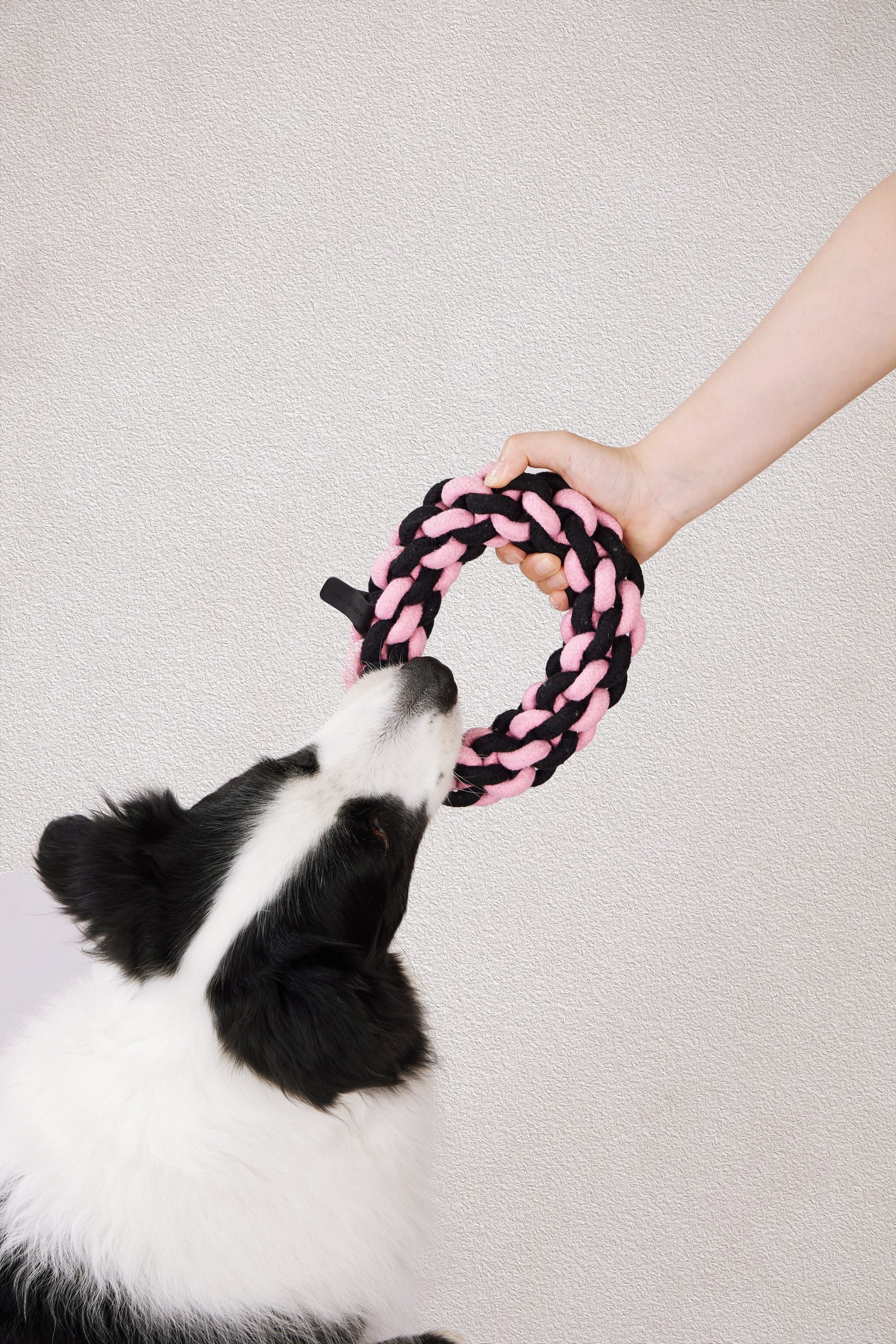 M-Pets 狗玩具．LUUKS UP 環形繩索玩具 粉黑色18cm