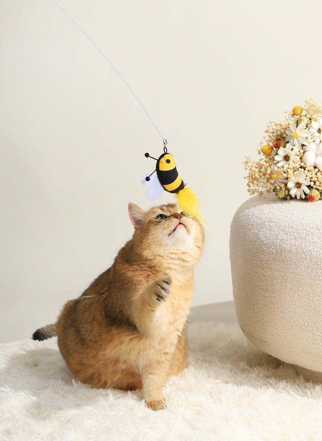 M-Pets 貓玩具．LUUKS UP 貓棒 蜜蜂