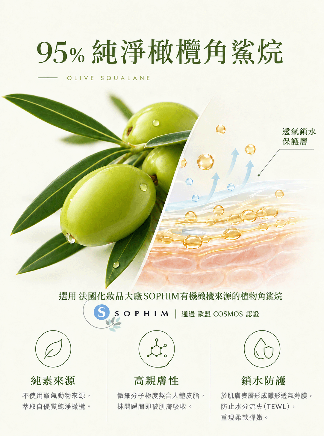 Moonlight 【極潤保濕】 95% 植物角鯊烷 + 沒藥醇 Page4 95%植物角鯊烷_PNG