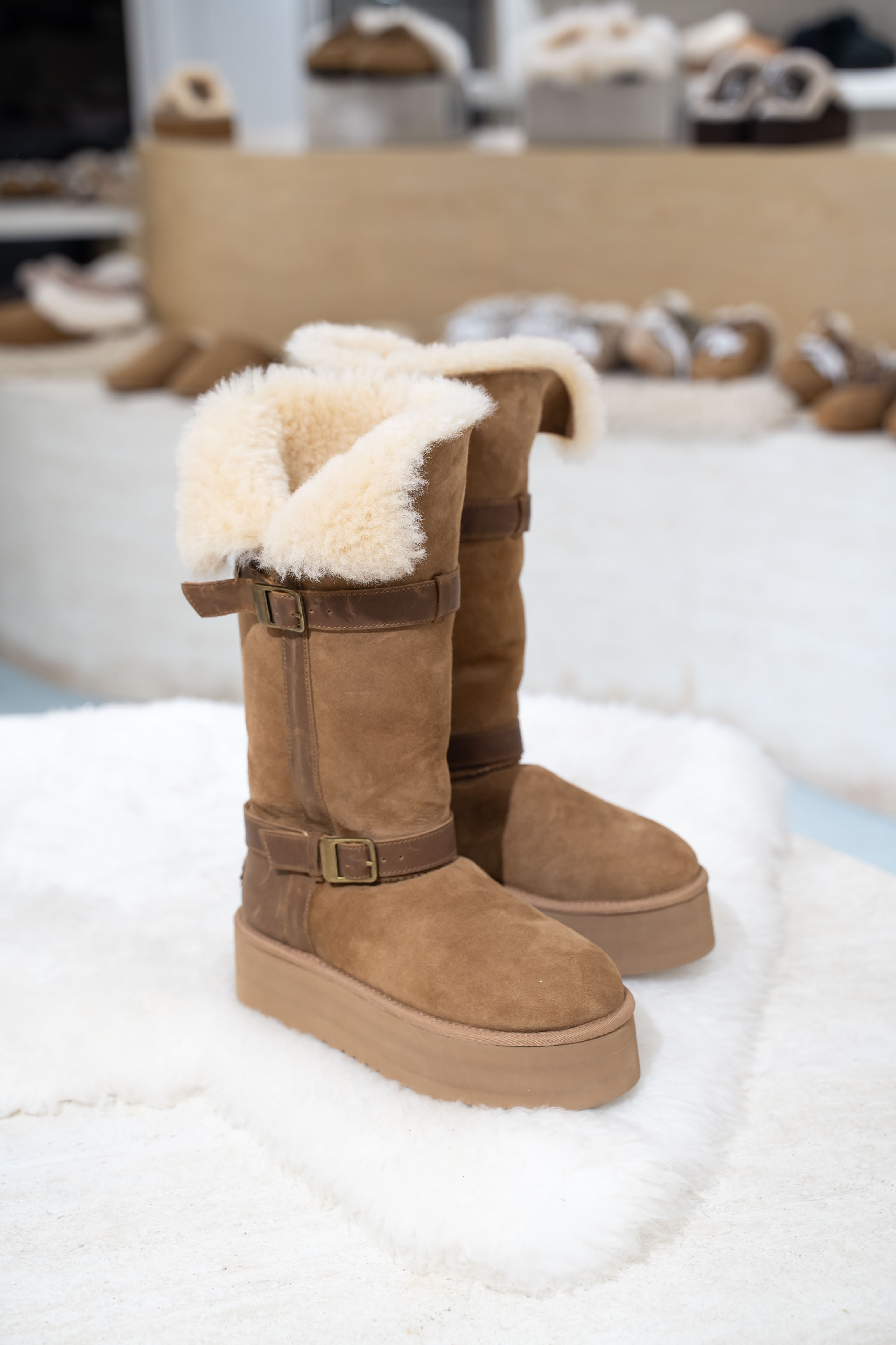 UGG Ozlana 2026AW Heritage Buckle Long Riding Boot