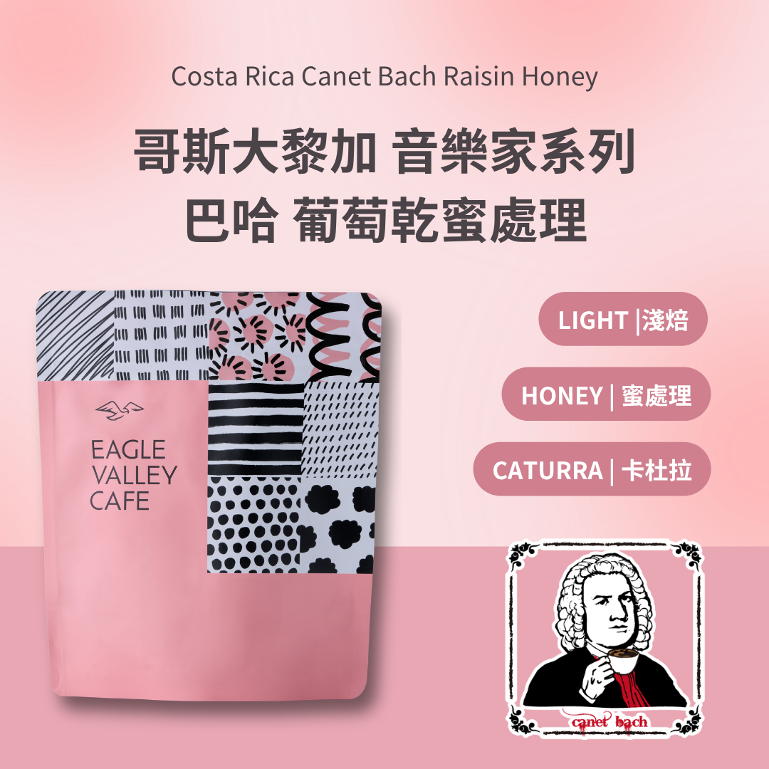 哥斯大黎加 音樂家系列 巴哈 葡萄乾蜜處理 淺焙 咖啡豆