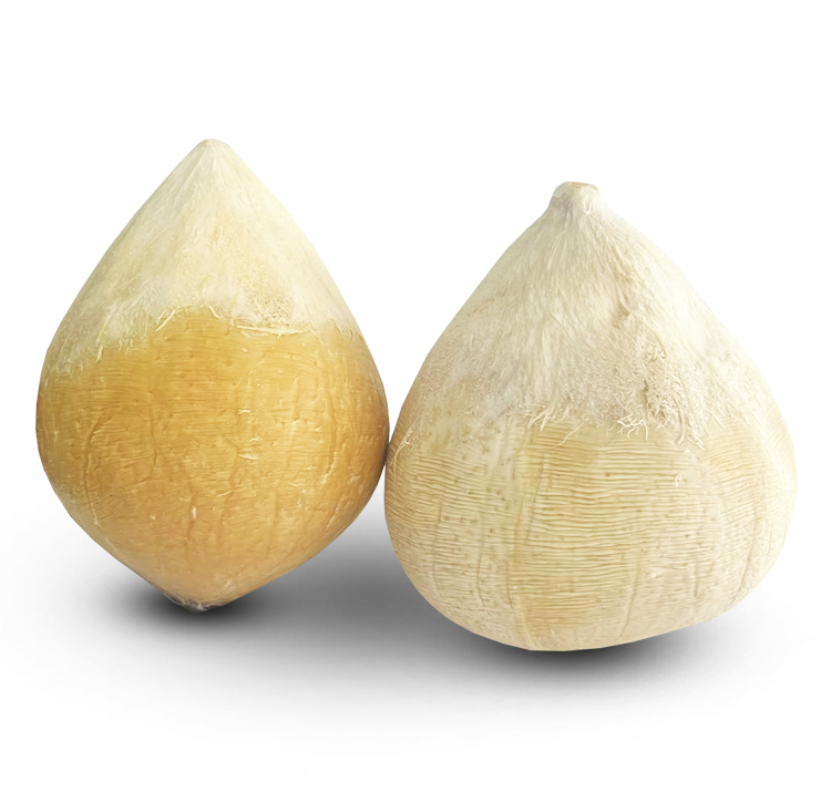 Fresh Thai Young Tender Coconuts (2-Pack) | Free HK Shipping