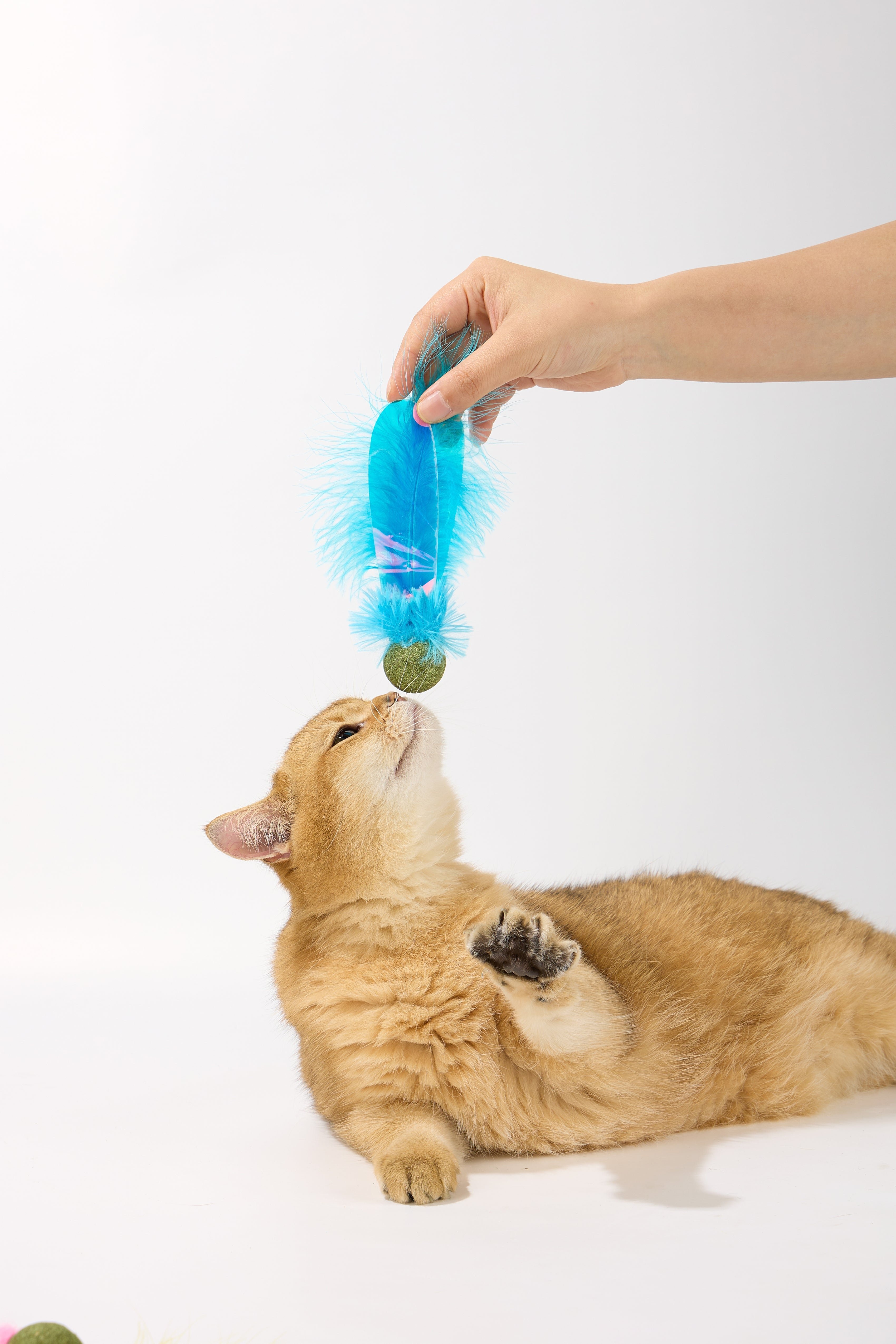 M-Pets 貓玩具．LUUKS UP 貓薄荷藍蜻蜓