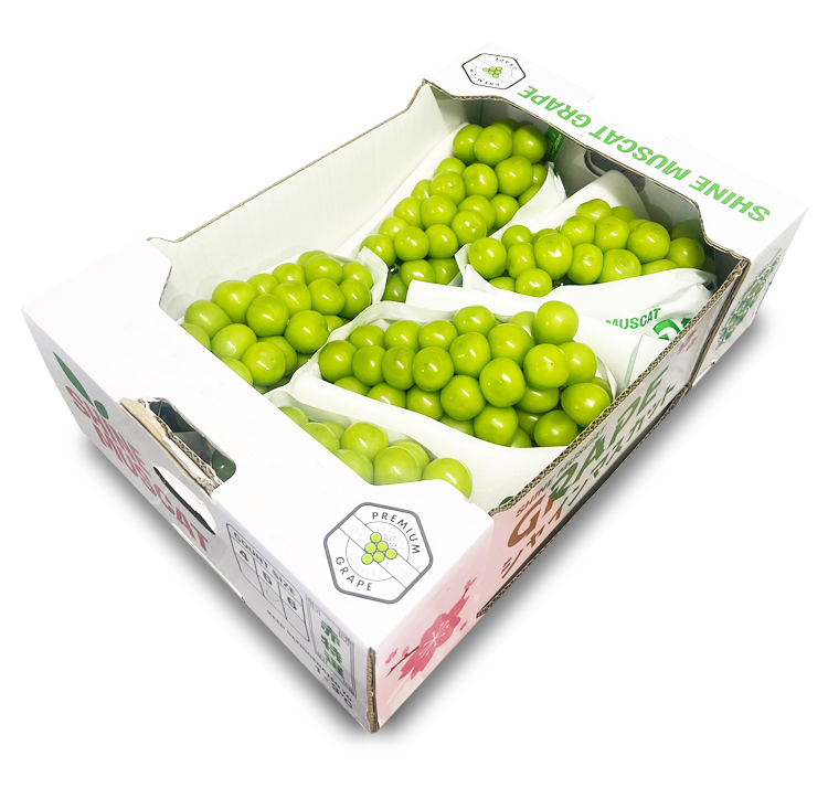 Premium China Shine Muscat Grapes (Original Box, 4-5 Bunches) | Free HK Shipping