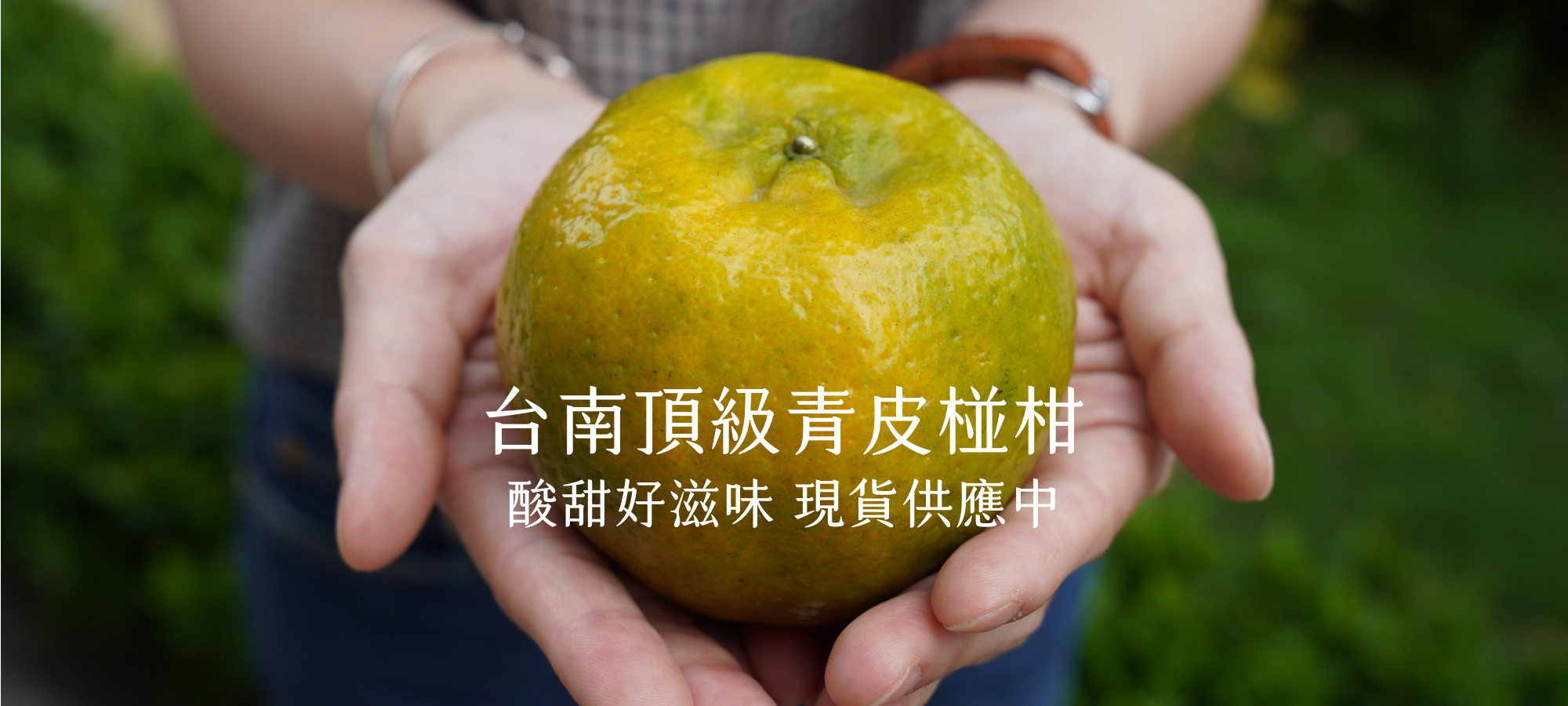 青皮椪柑,椪柑,橘子