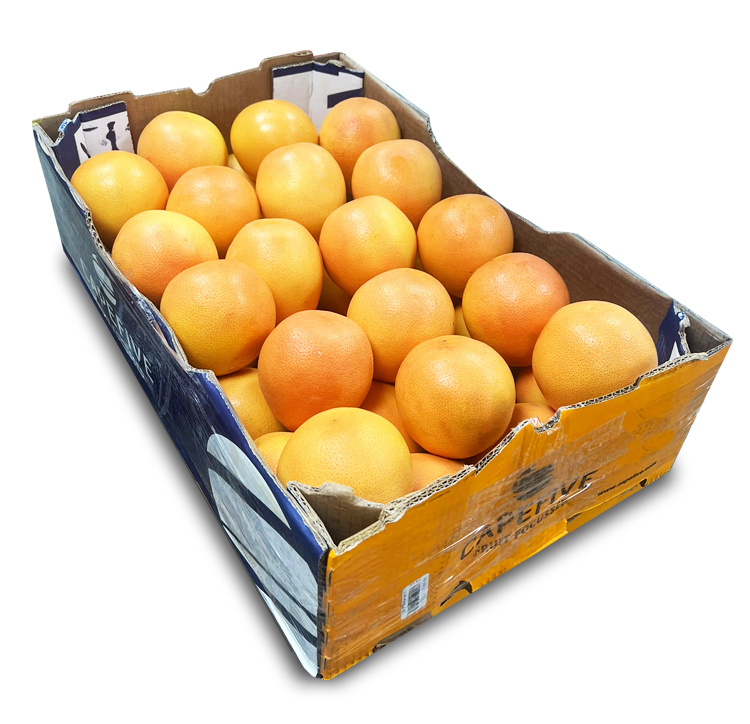 Premium Fresh Grapefruit (Original Full Box) | Free HK Shipping