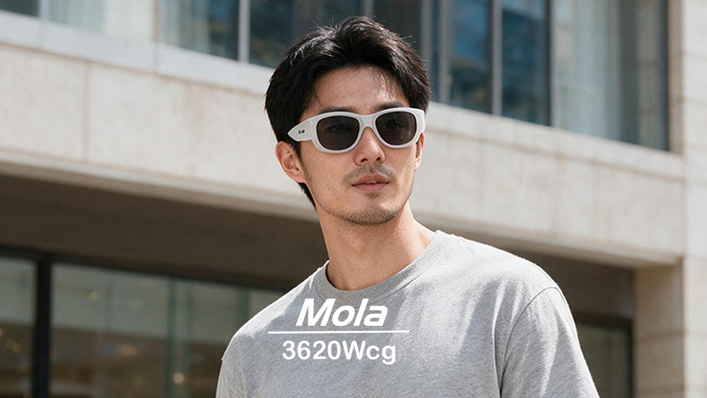 MOLA摩拉 3620Wcg 近視偏光太陽眼鏡套鏡｜可套眼鏡外戴 開車防眩光 抗UV400