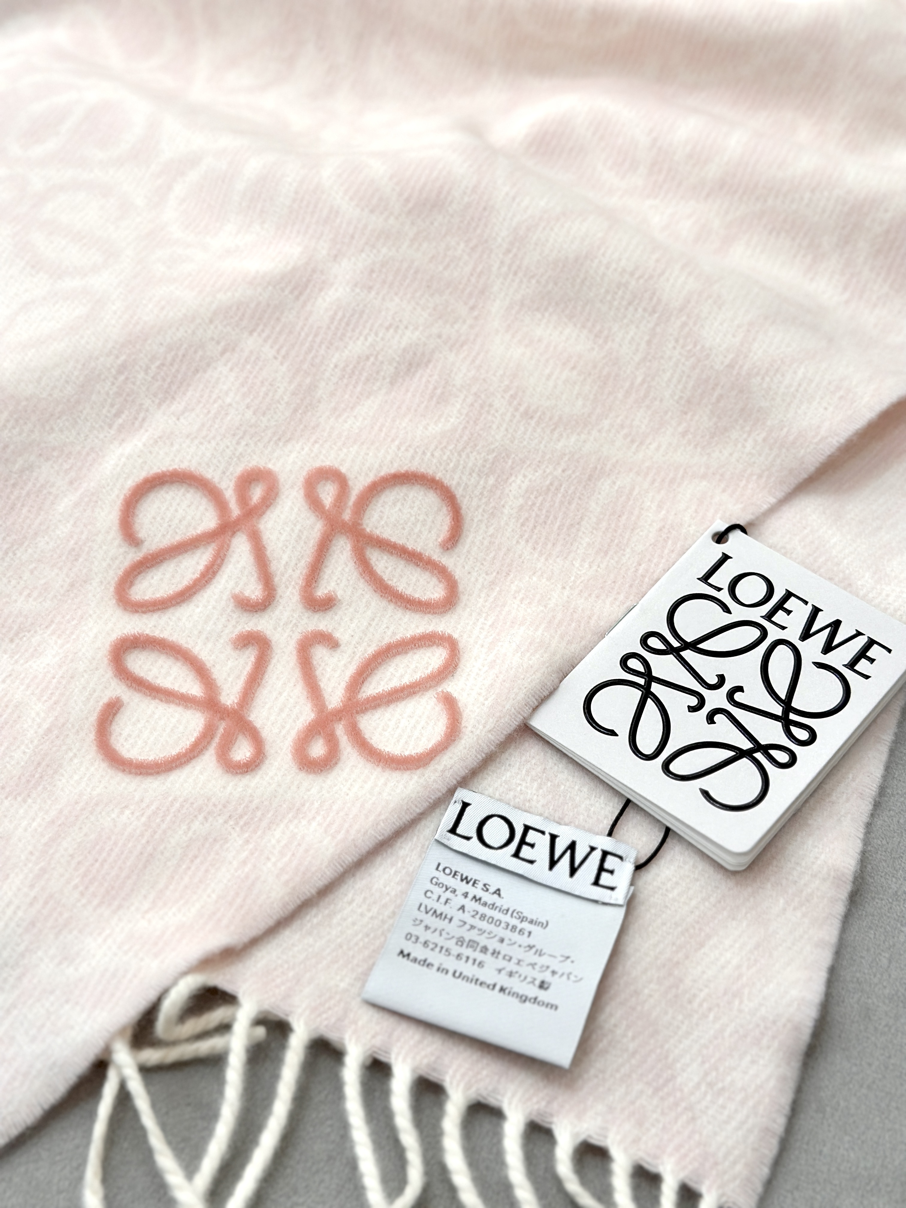 LOEWE Anagram scarf in wool and cashmere