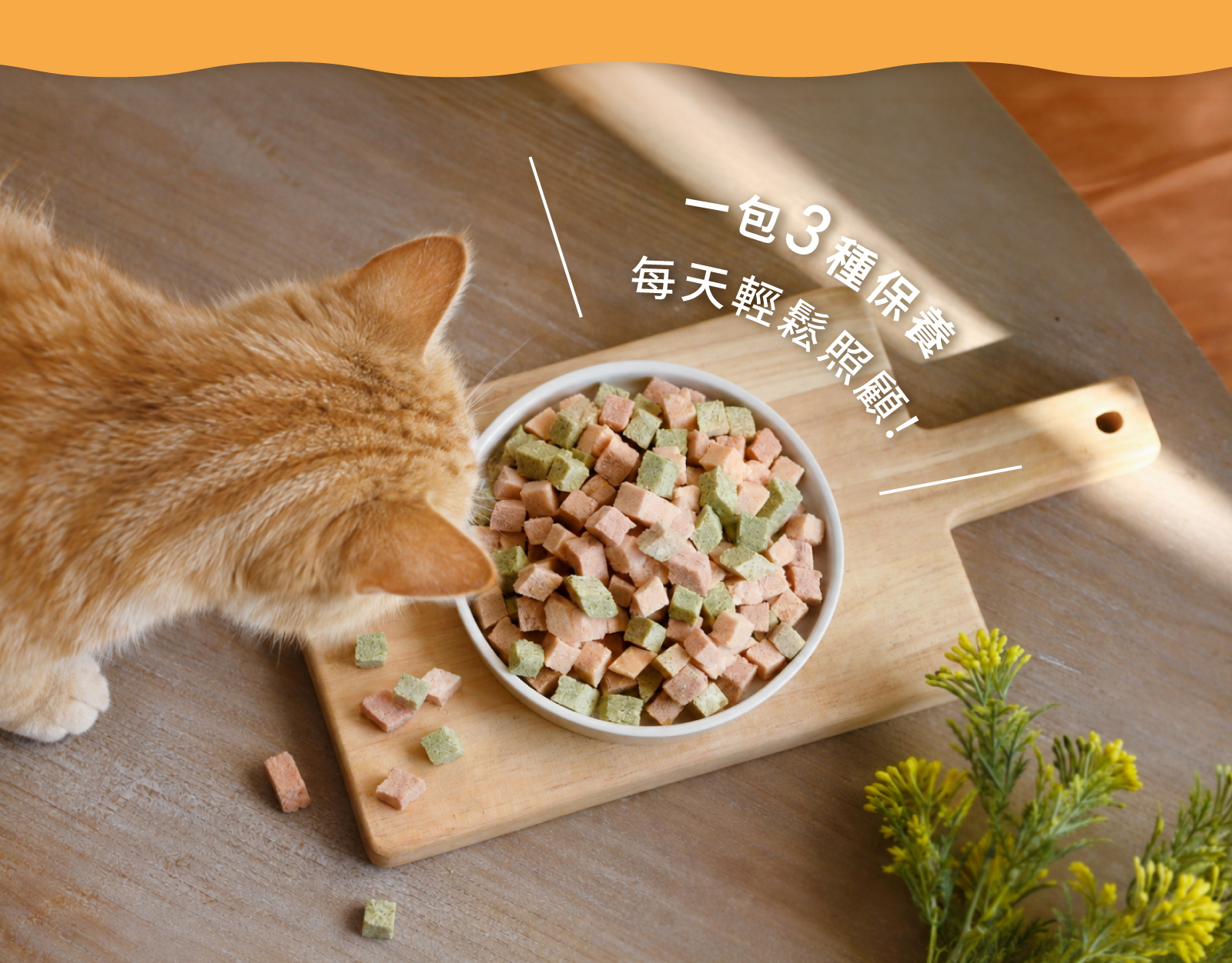 三效益生菌 保養凍乾