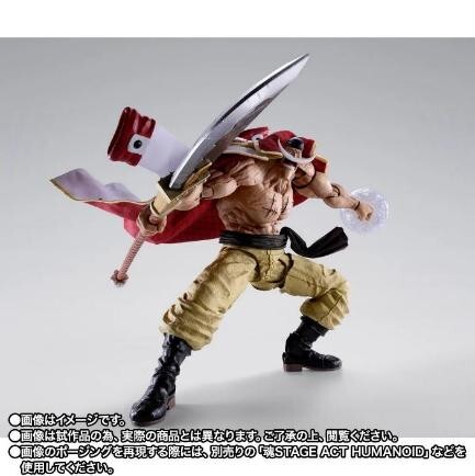「ACG.GO」「預購」[魂SHOP限定] S.H.Figuarts《海賊王》愛德華·紐歌特 (白鬍子) -瑪林科特頂上決戰-