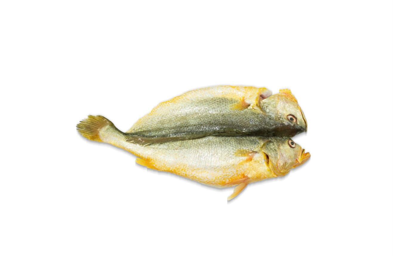 [魚統處自製] 開邊咸鮮黃花 1條 250g (包)